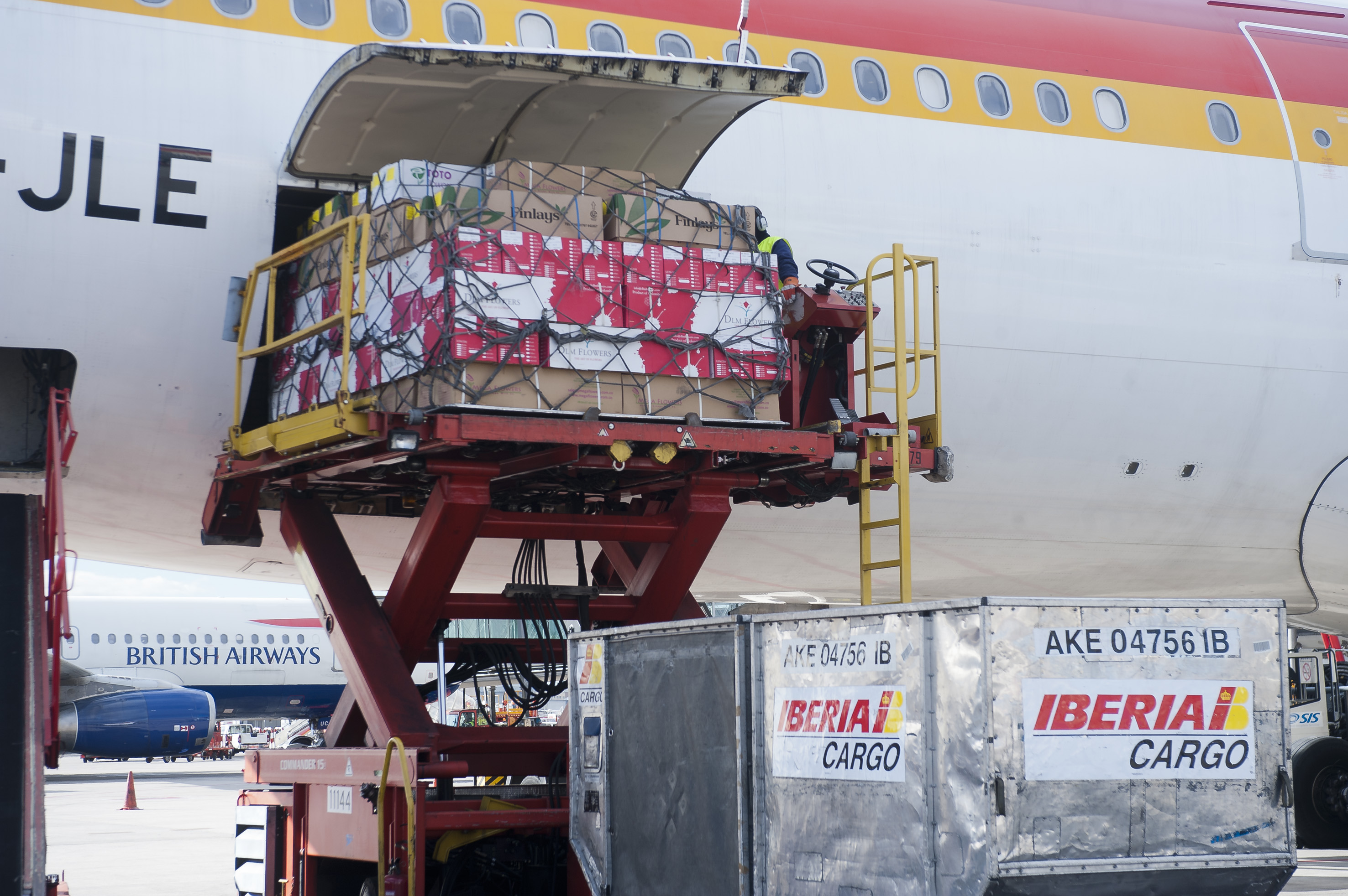 доставка цветов из Эквадора и Колумбии авиа транспортом